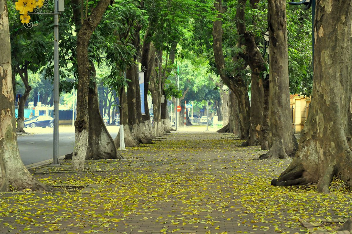 April brings ideal temperatures for sightseeing in Hanoi