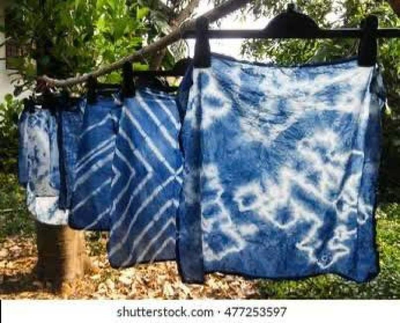 Indigo Dyeing Workshop in Ta Van Village Sapa