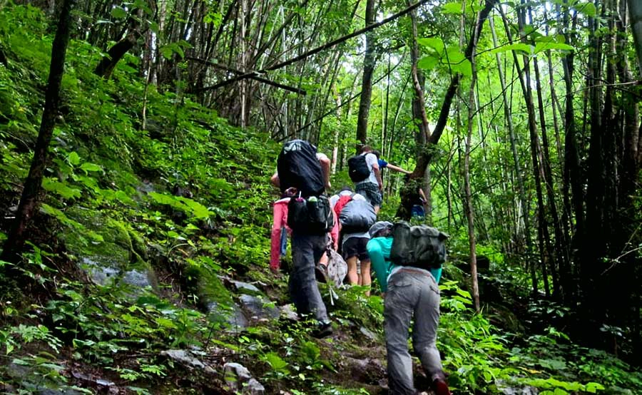Day tour I Langbiang Mountain Trekking from Da Lat