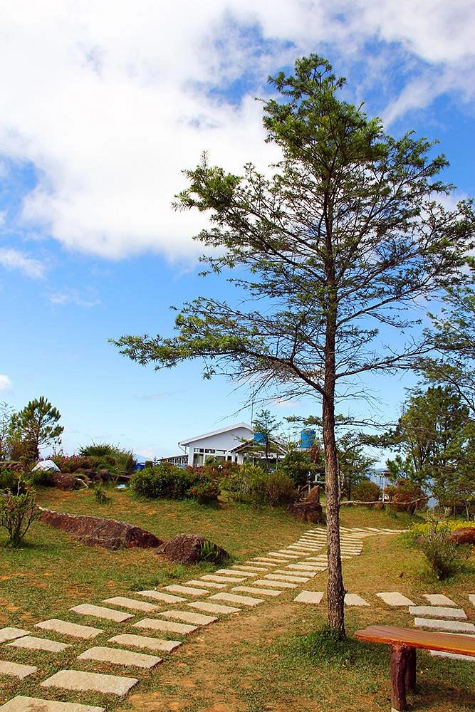 Day tour I Langbiang Mountain Trekking from Da Lat