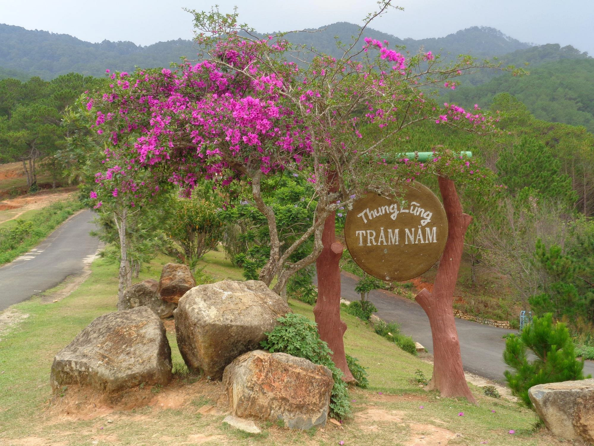 Day tour I Langbiang Mountain Trekking from Da Lat