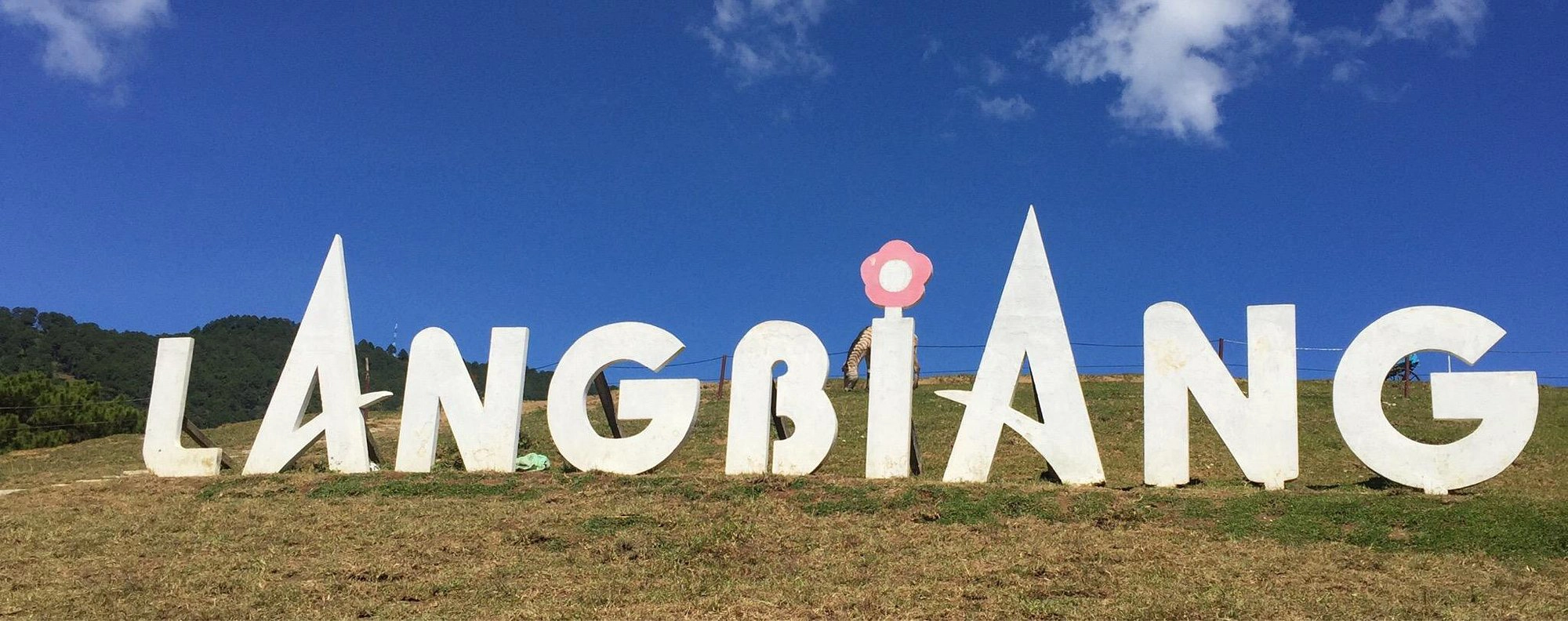 Day tour I Langbiang Mountain Trekking from Da Lat