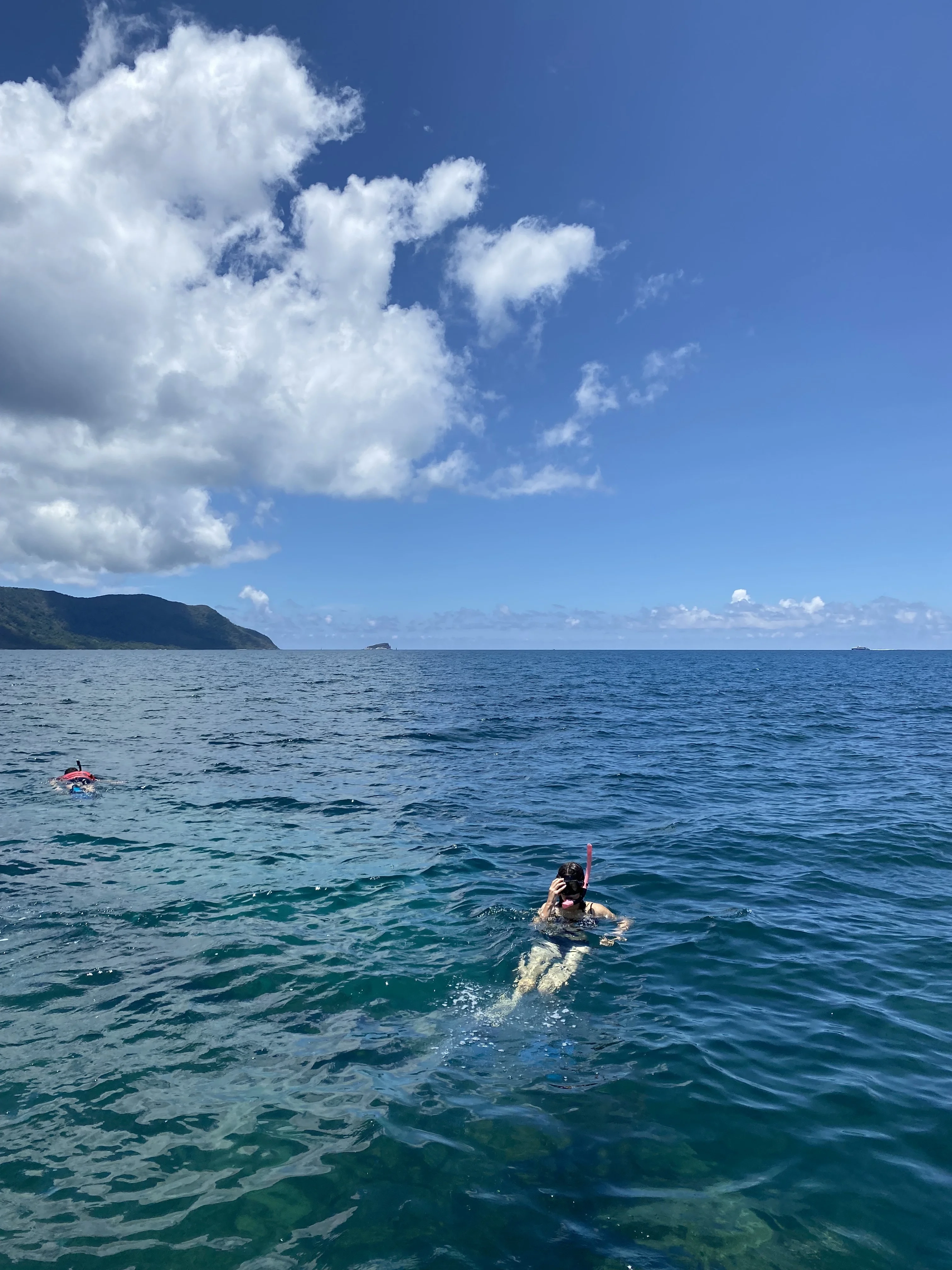 Half-day tour | Snorkeling & Exploring Turtle island in Con Dao