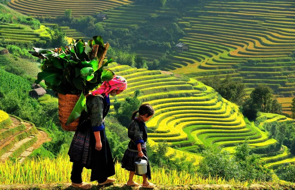 Day Tour | Muong Hoa Valley Trekking Tour: Y Linh Ho, Lao Chai & Ta Van Villages Depart from Sapa