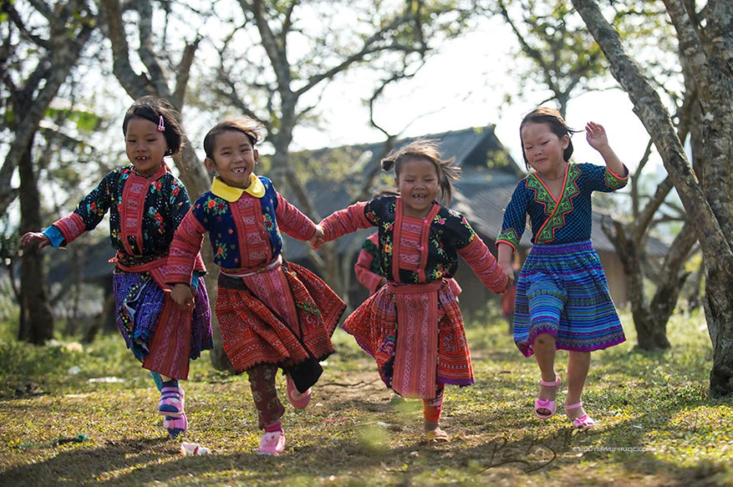 Day Tour | Muong Hoa Valley Trekking Tour: Y Linh Ho, Lao Chai & Ta Van Villages Depart from Sapa