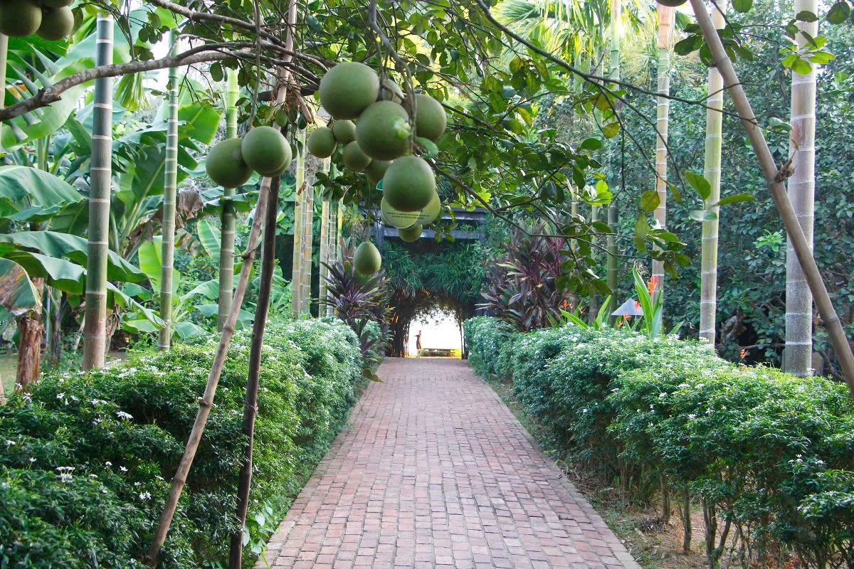 Half-day tour | 3 Heritages (Thien An Monastery - Ho Thuy Tien Park - Thuy Bieu Village) in Hue