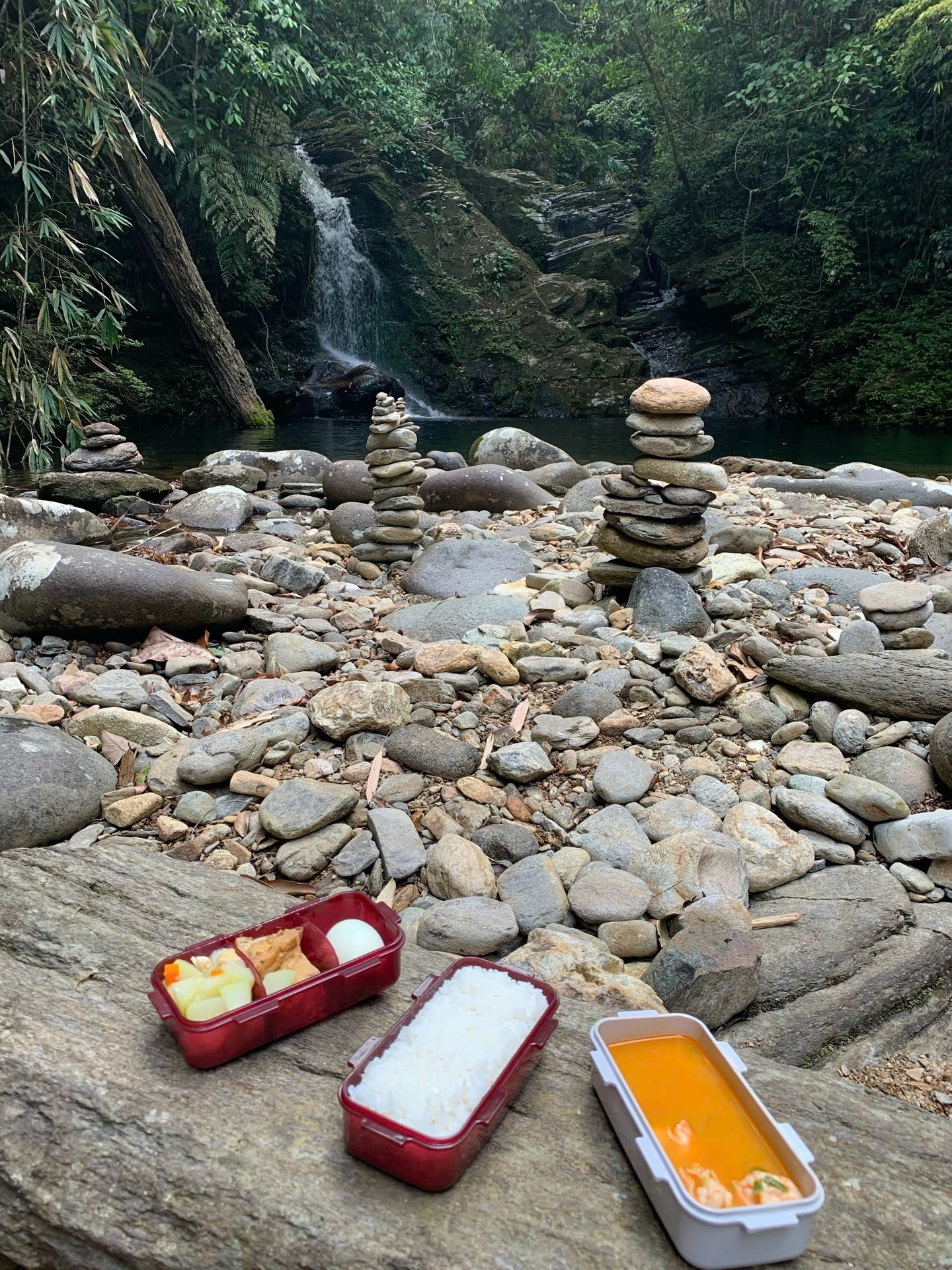 Bach Ma National Park Day Tour from Hue/Da Nang/Hoi An | Vietnam