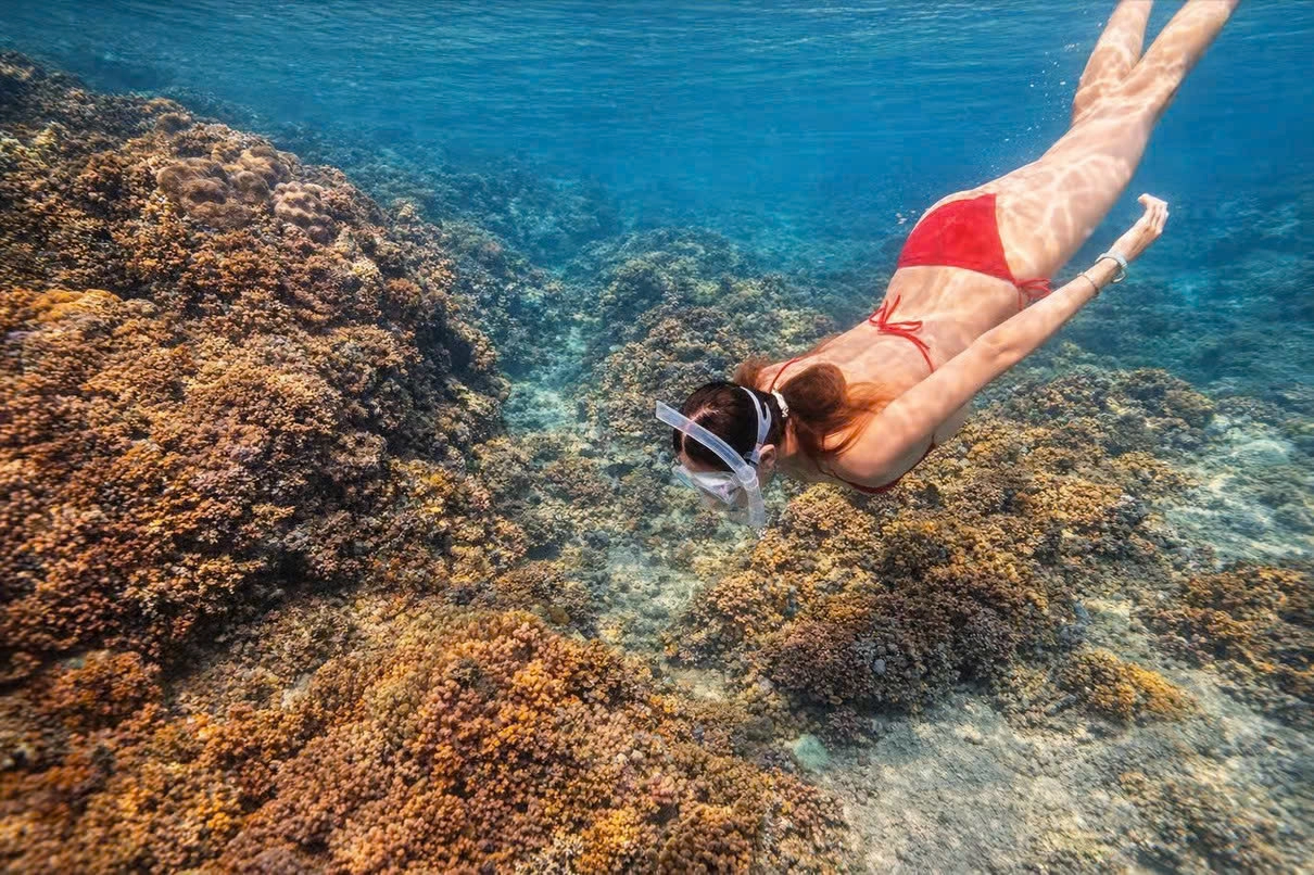 Private tour | Hon Dat Islet Snorkeling Tour from Quy Nhon