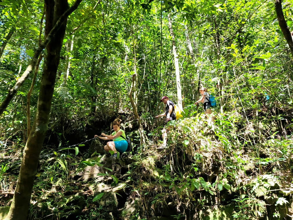 Bach Ma National Park Day Tour from Hue/Da Nang/Hoi An | Vietnam