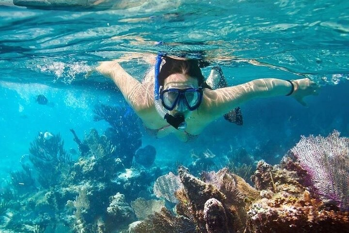 Day Tour | Cham Island Speedboat and Snorkeling Experience depart from Da Nang
