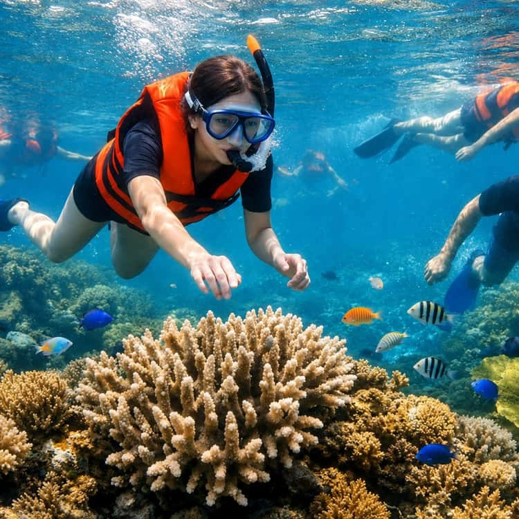 Day Tour | Cham Island Speedboat and Snorkeling Experience depart from Da Nang