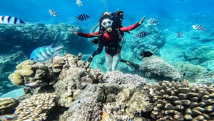 Day Tour | Cham Island Speedboat and Snorkeling Experience depart from Da Nang