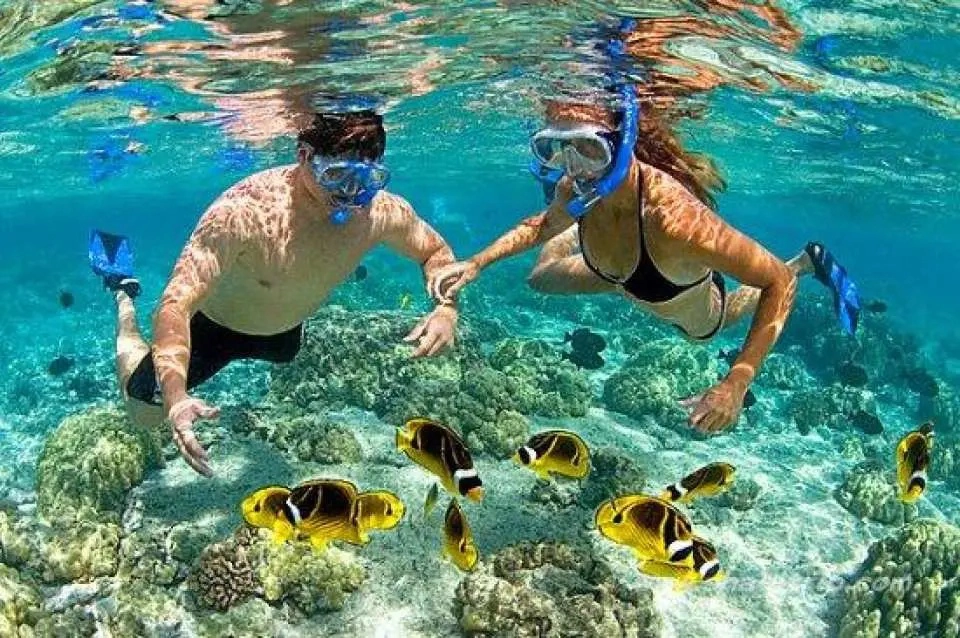 Day Tour | Cham Island Speedboat and Snorkeling Experience depart from Da Nang