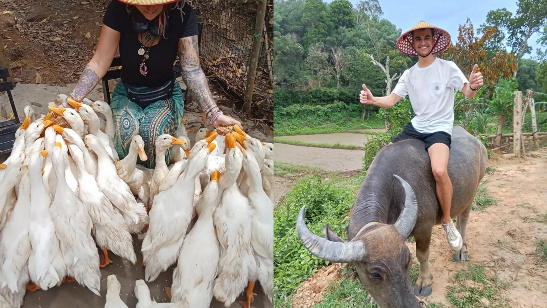 Private Tour | Enjoy Paradise Cave and Local experiences in Tang'Farm