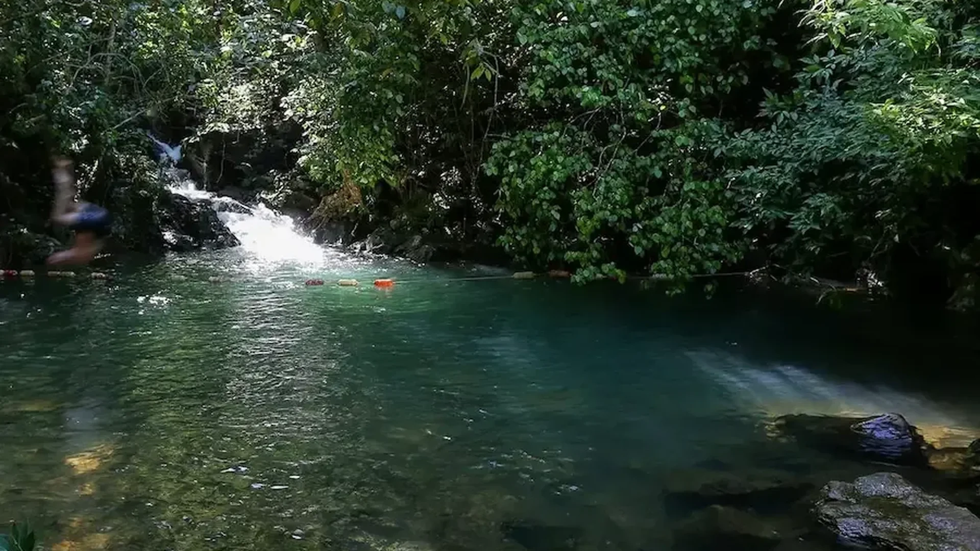 Private Tour | Phong Nha Cave & Botanic Garden  
