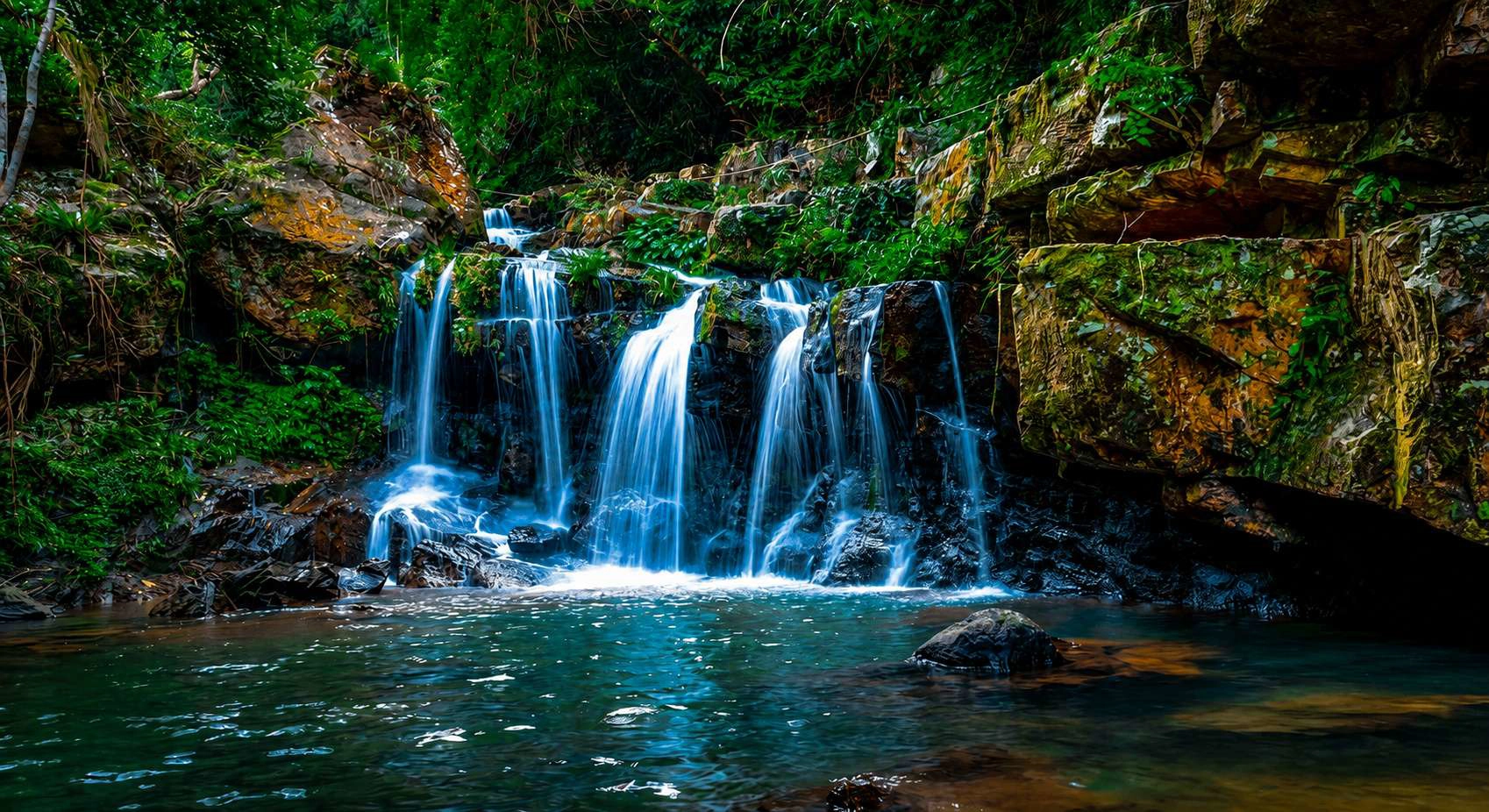 Private Tour | Visiting Paradise Cave & Phong Nha Botanic Garden from Phong Nha