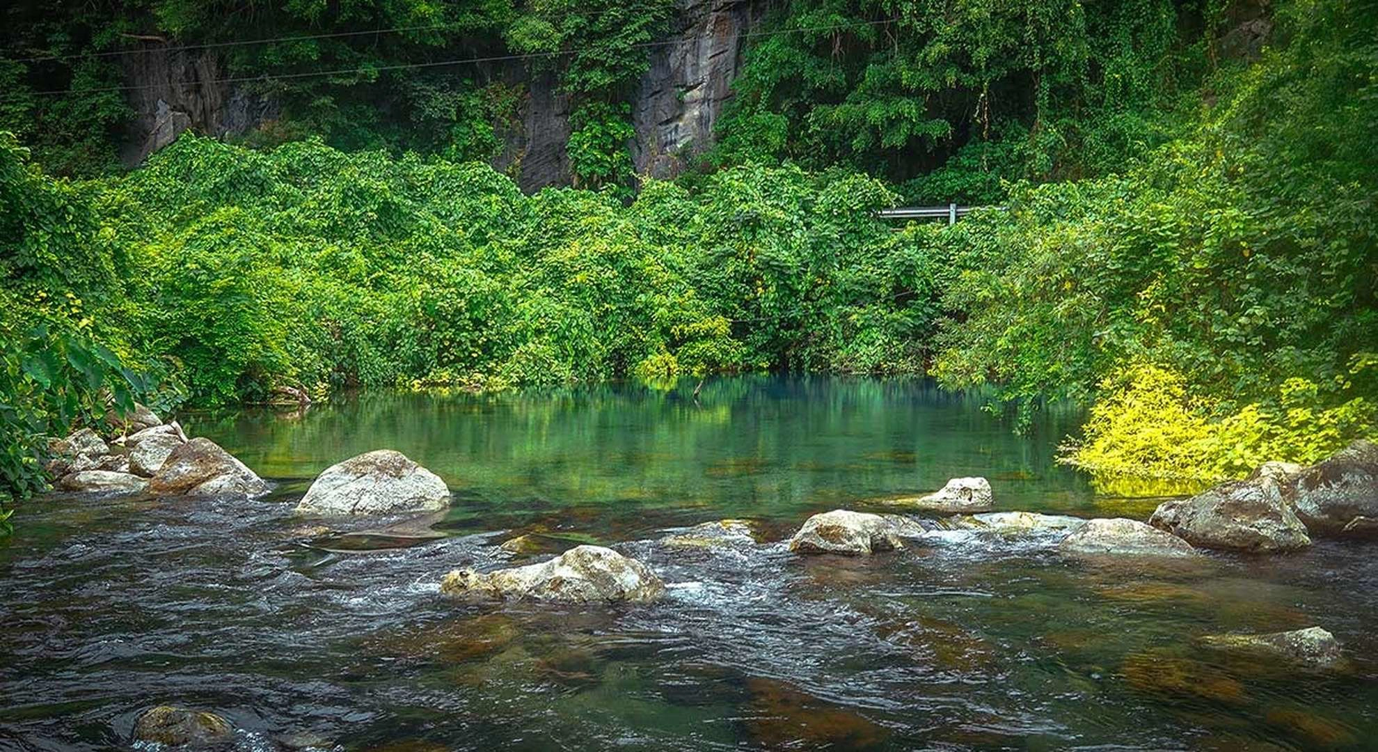 Private Tour | Visiting Paradise Cave & Phong Nha Botanic Garden from Phong Nha