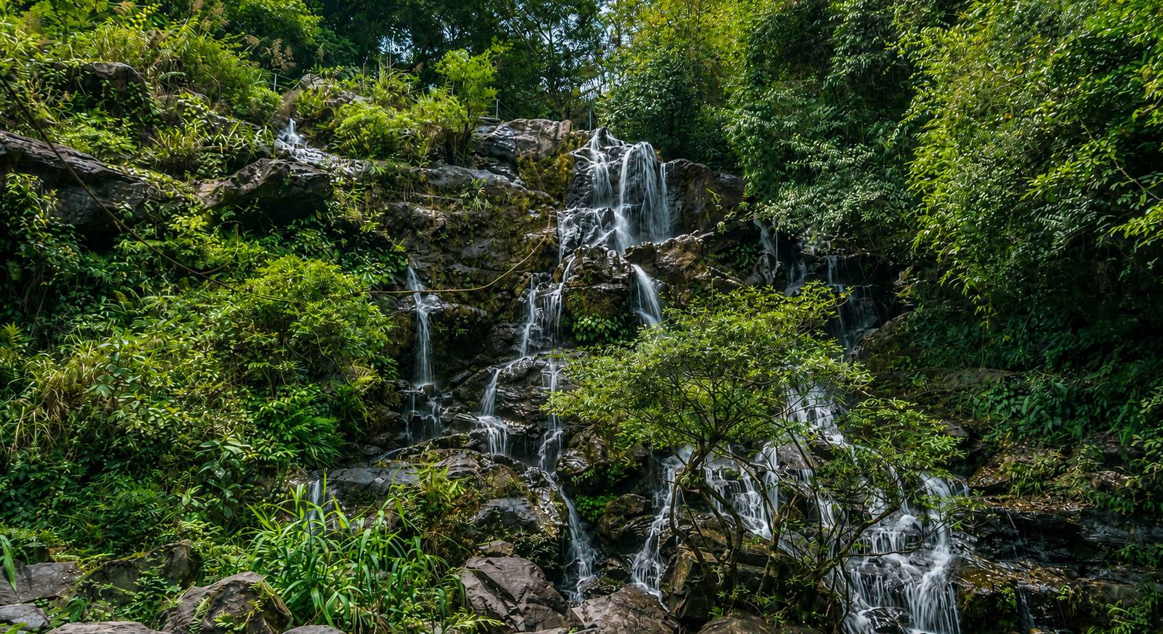 Private Tour | Visiting Paradise Cave & Phong Nha Botanic Garden from Phong Nha