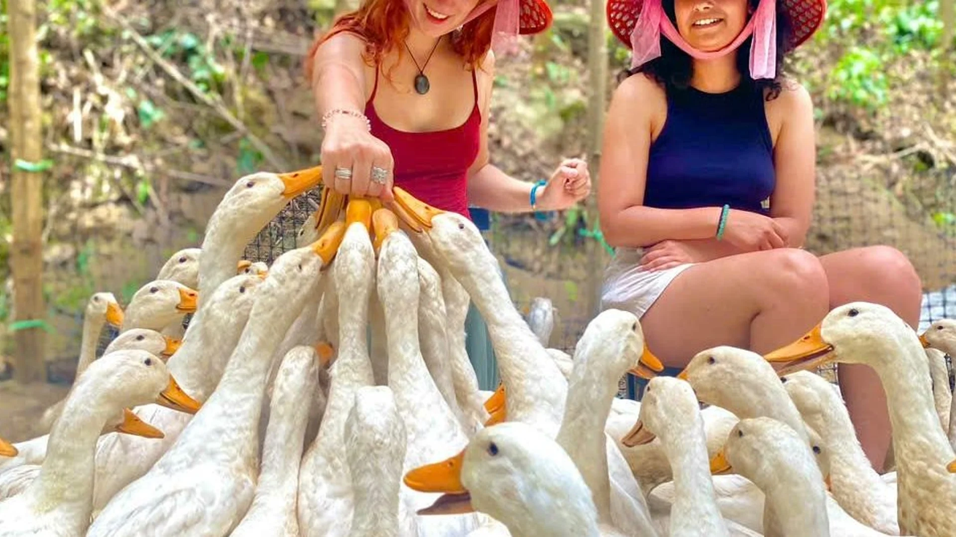 Private Tour | Enjoy Paradise Cave and Local experiences in Tang'Farm