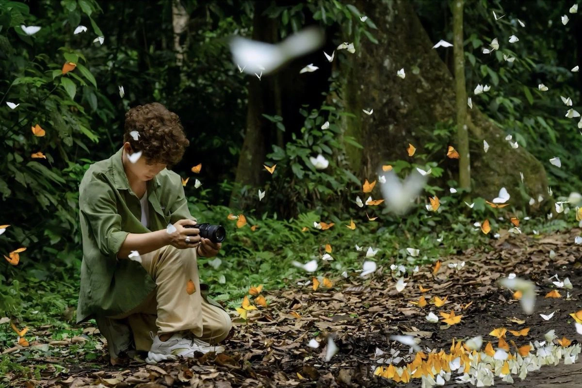 Cuc Phuong National Park Tour: Day Trips, Trekking and Night Tours