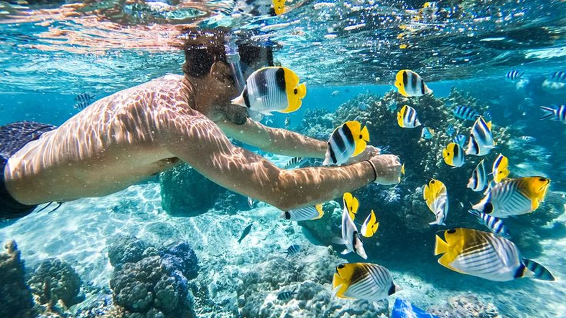 Private Tour | Experience Snorkeling at Cham Island Depart from Hoi An (English/Korean/Chinese guide)