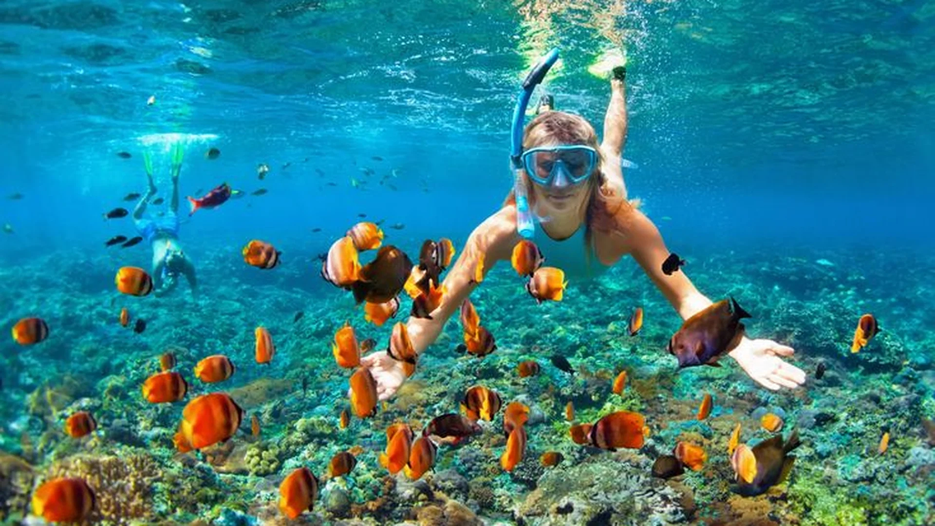 Private Tour | Experience Snorkeling at Cham Island Depart from Da Nang (English/Korean/Chinese guide)