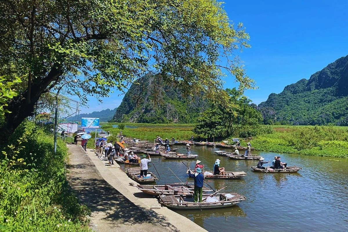 Bamboo boat in Van Long Nature Reserve