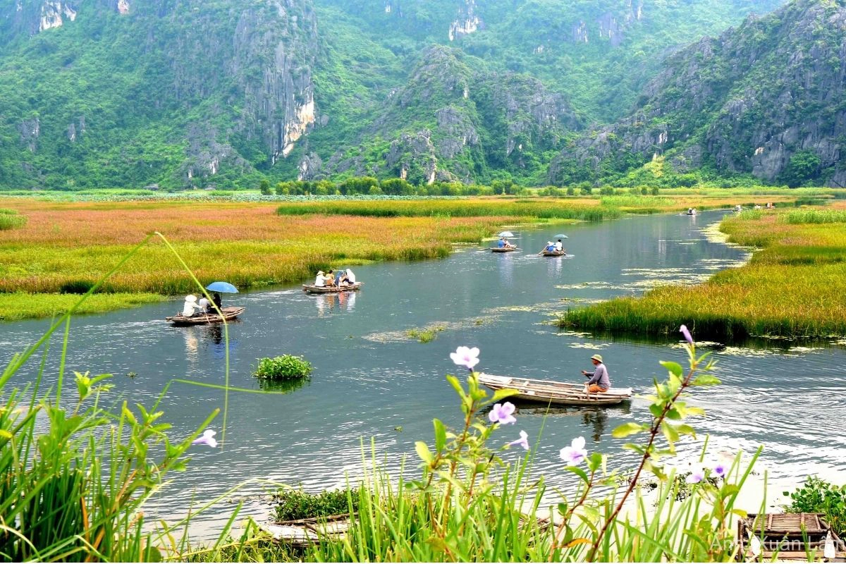 Tips for Visiting Van Long Nature Reserve Vietnam