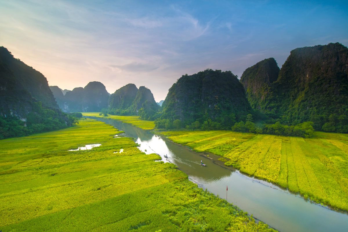 Tam Coc turns golden around the late May harvest