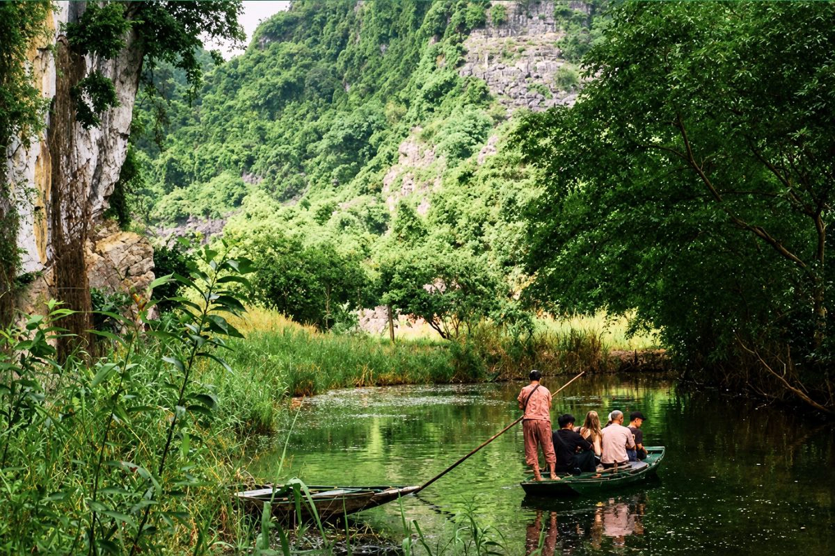 Duck Farm Ninh Binh: Feed Ducks at Dundj Valley Near Tam Coc
