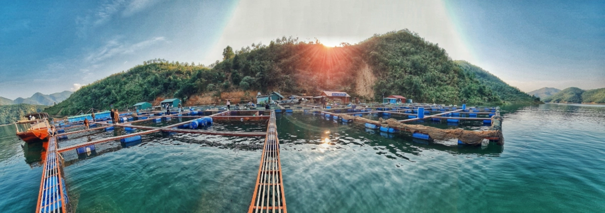 Ha Long Bay fishing