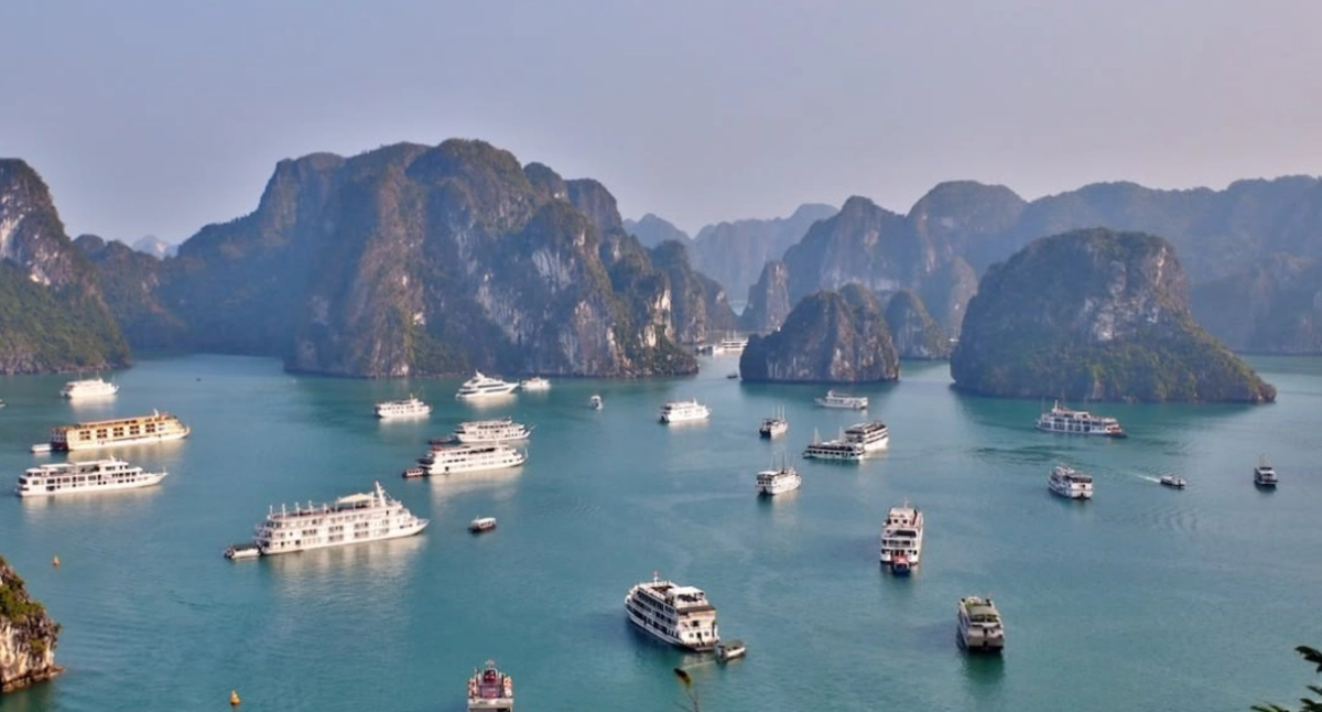 Ha Long Bay Fishing: Best Spots, Tours & Tips for Visitors
