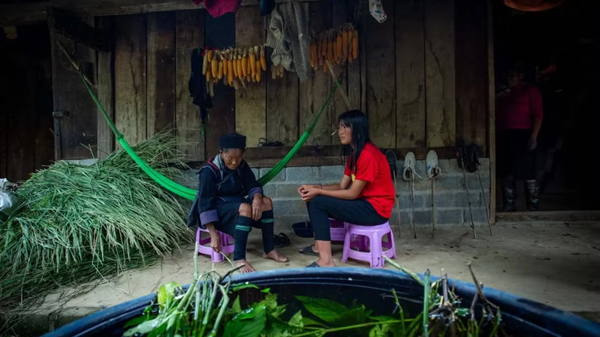 Indigo Dyeing Workshop in Ta Van Village Sapa