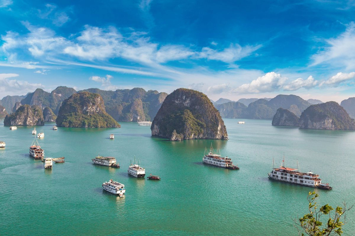 Traditional wooden boats and modern ships sailing through the fog
