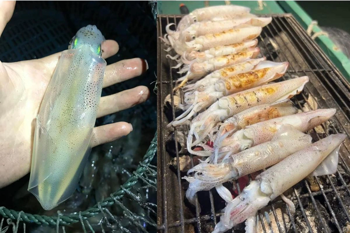 Freshly caught seafood pulled from the calm evening waters
