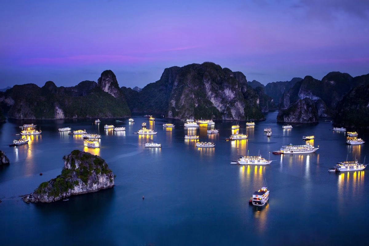 Ha Long Bay Squid Fishing: What to Expect and How to Catch Squid