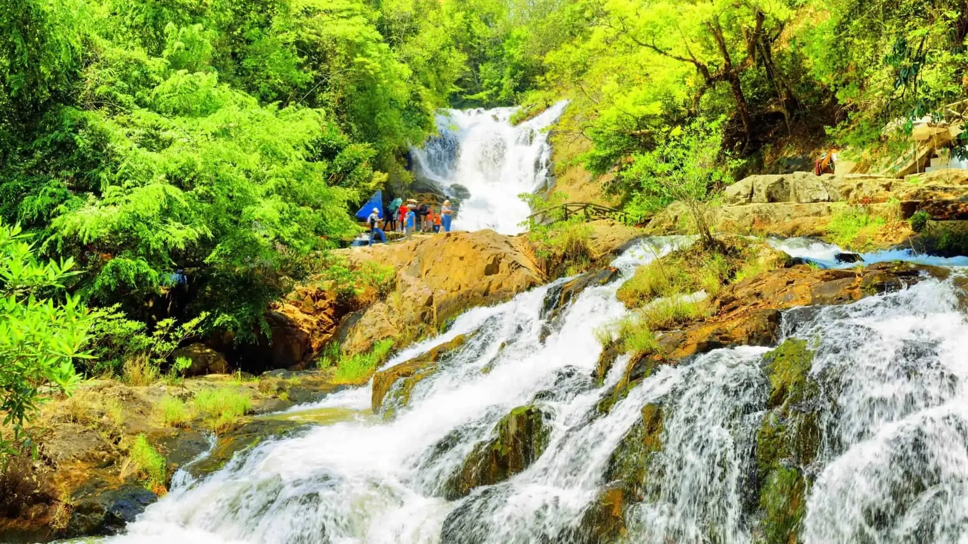 Day Tour | Langbiang Mountain, Datanla Waterfall & Crazy House Tour from Da Lat