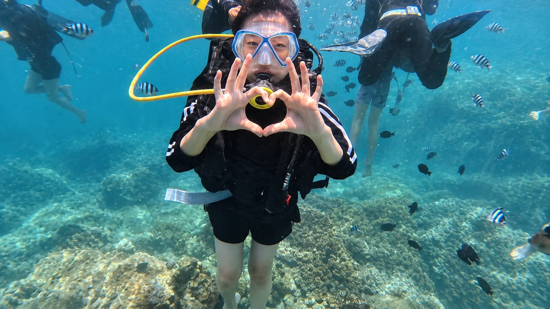 Private Tour | Experience Snorkeling at Cham Island Depart from Da Nang (English/Korean/Chinese guide)
