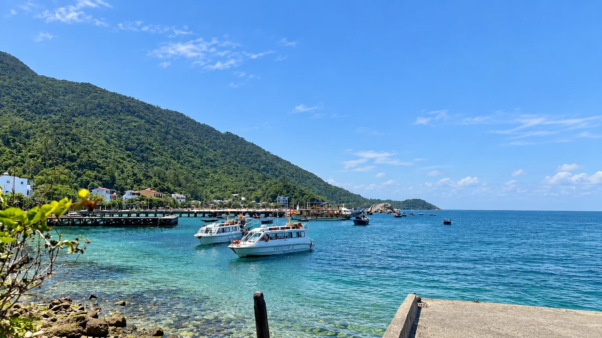 Private Tour | Experience Snorkeling at Cham Island Depart from Da Nang (English/Korean/Chinese guide)