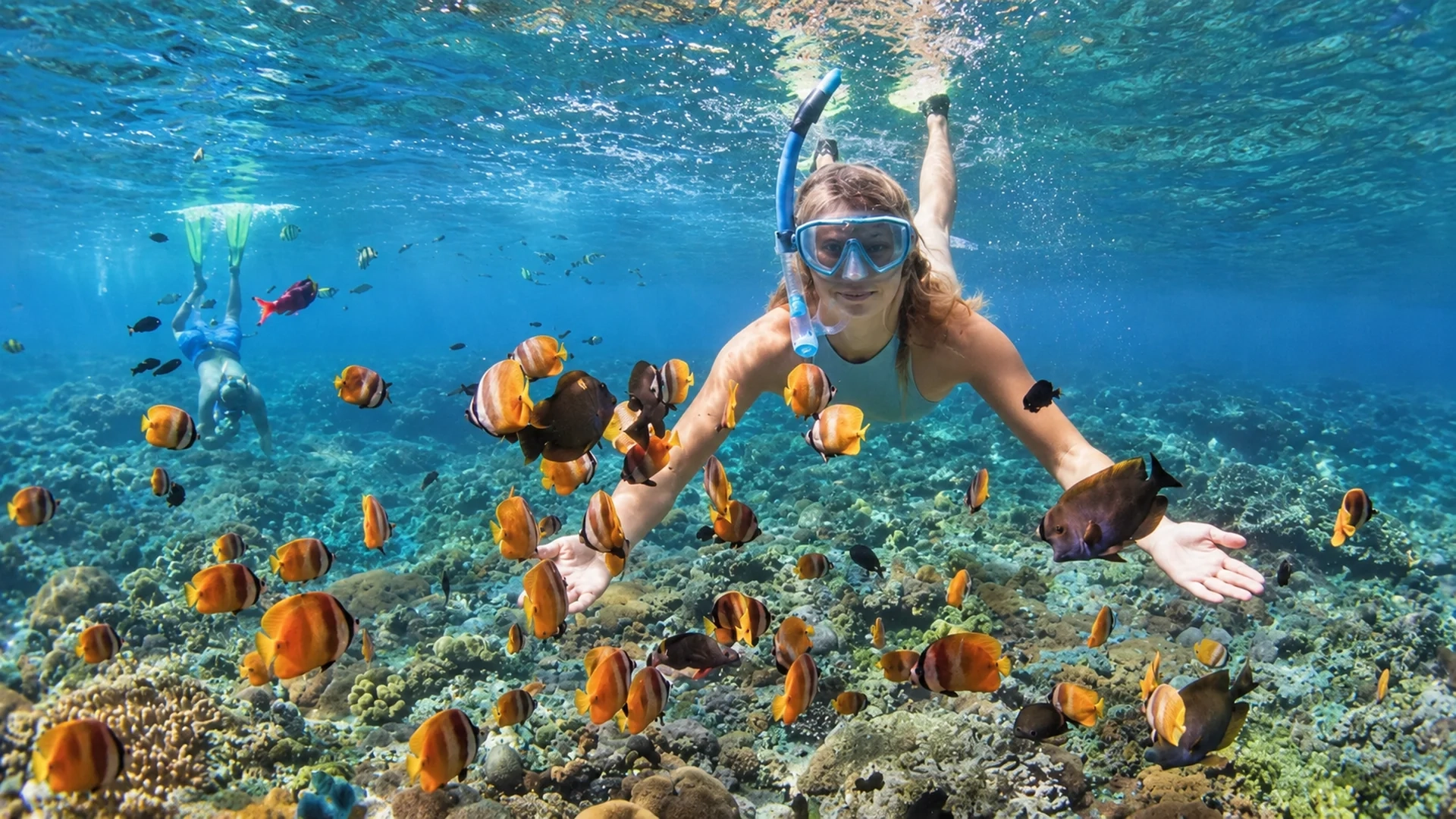 Private Tour | Experience Snorkeling at Cham Island Depart from Da Nang (English/Korean/Chinese guide)