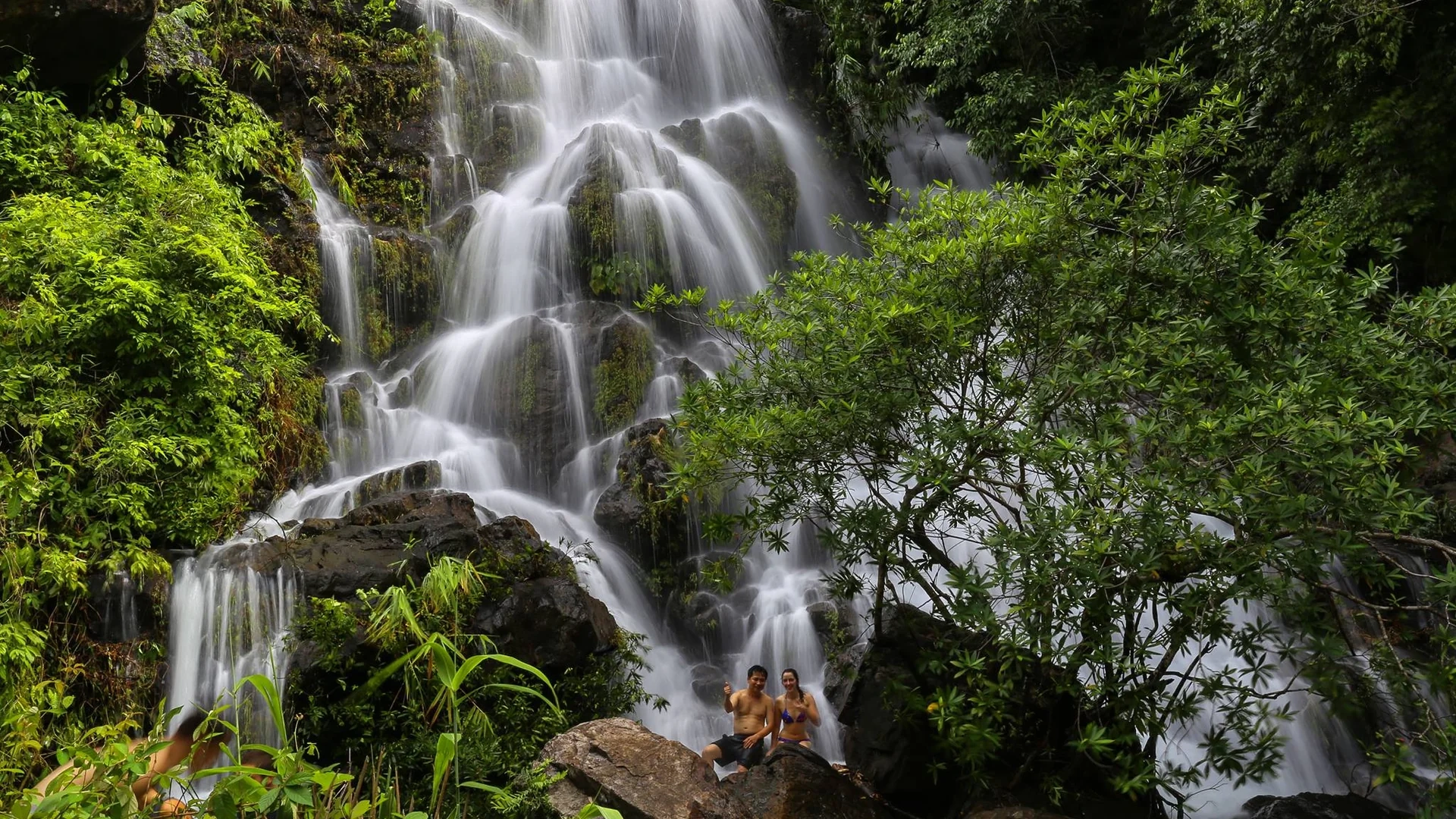 Private Tour | Phong Nha Cave & Botanic Garden  