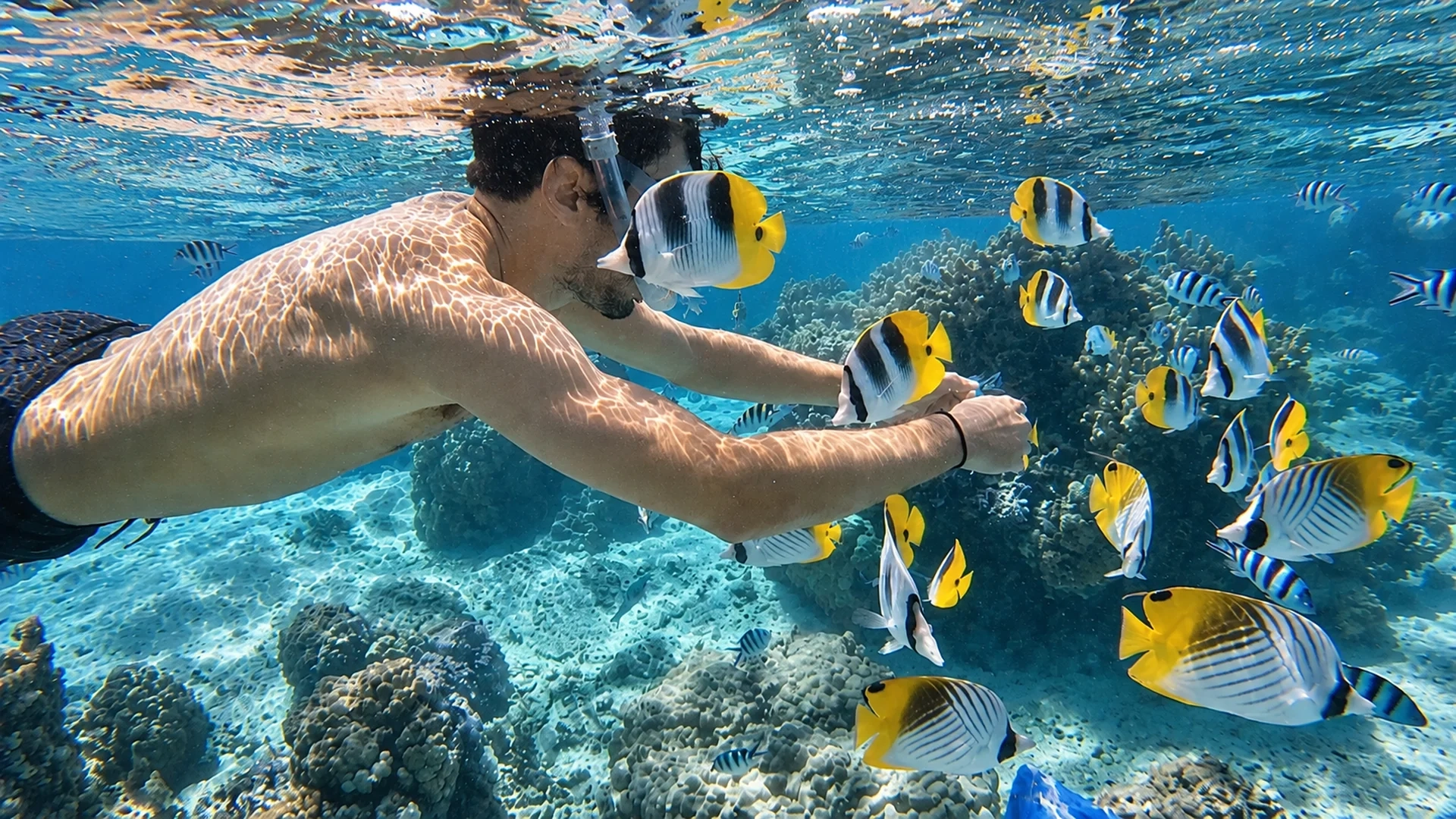 Private Tour | Experience Snorkeling at Cham Island Depart from Da Nang (English/Korean/Chinese guide)