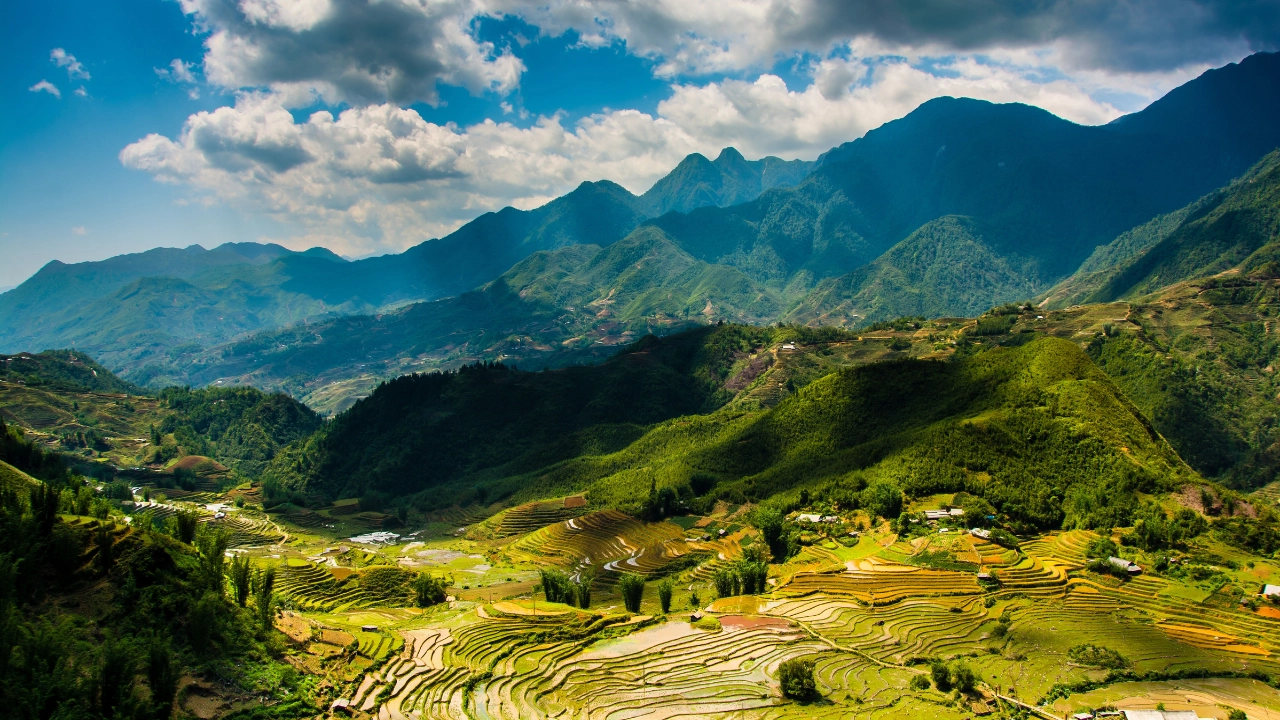 Sapa – Green Rice Terrace Season