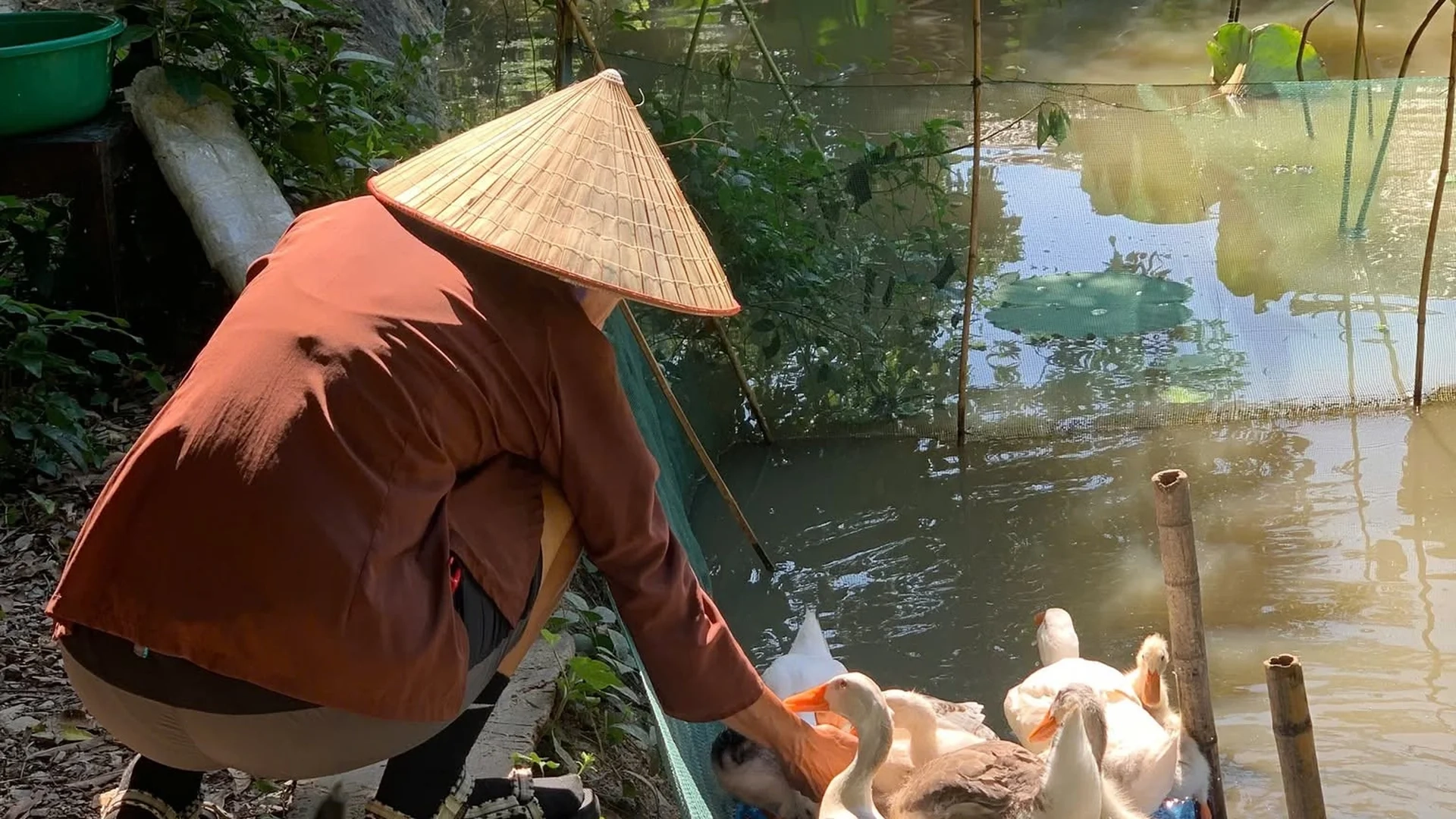 Authentic Vietnamese Countryside Experience in Ninh Binh