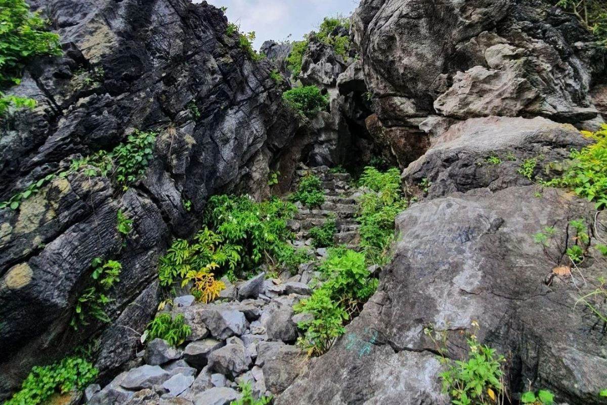 Elephant Mountain Hai Phong: A Complete Travel Guide
