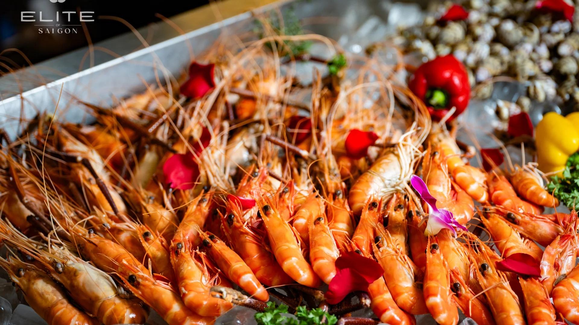 Dining Experience on Elite of Saigon Luxury Cruise | Ho Chi Minh City