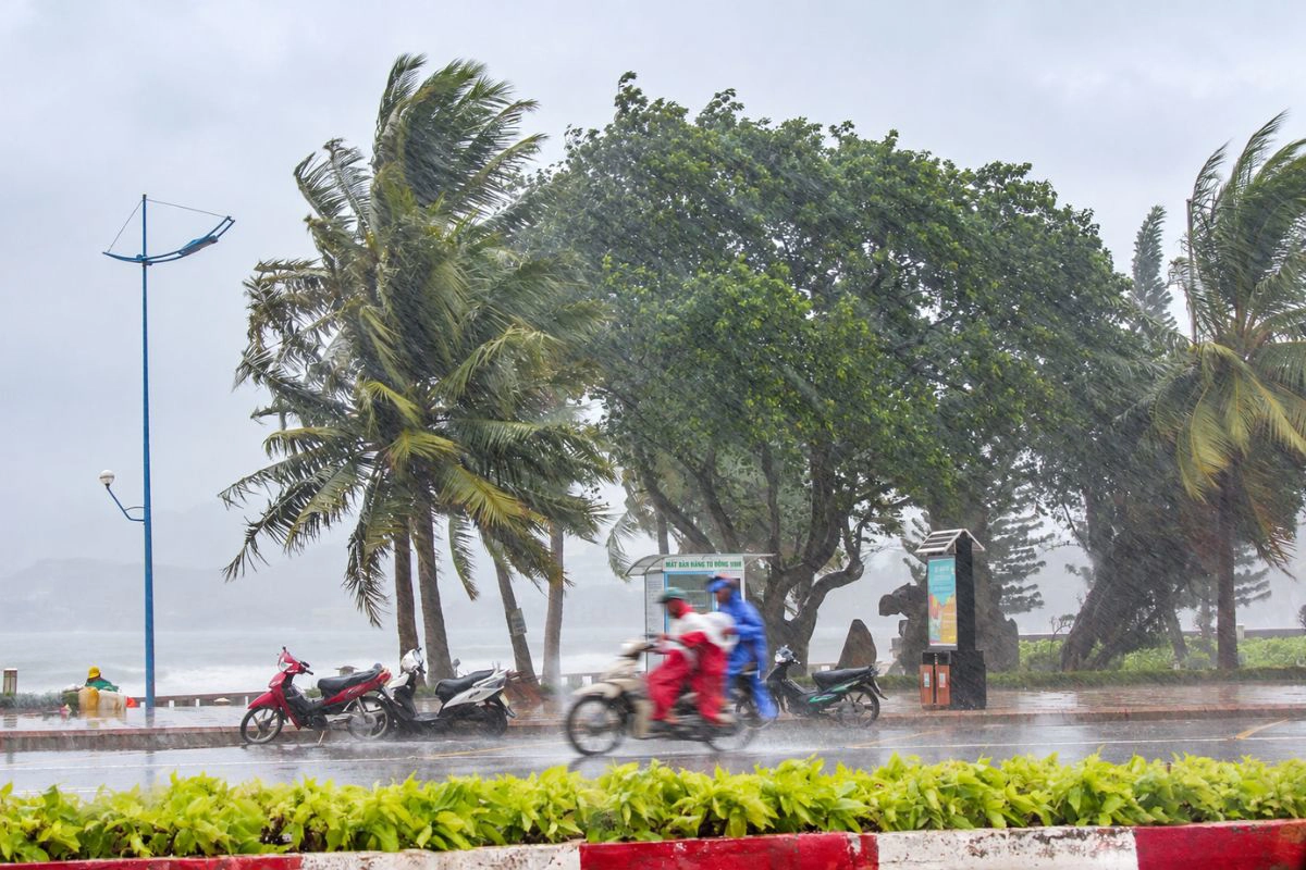 Rainy months bring higher humidity and frequent tropical showers