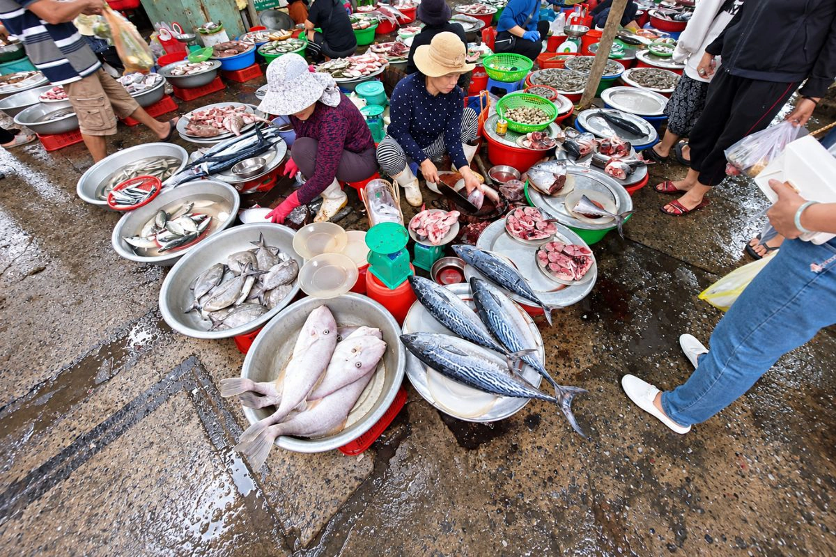 Vung Tau markets display crab, squid, shrimp, fish and shellfish