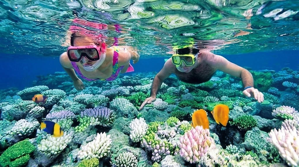 Day tour I Amazing Day tour in Nha Trang with snorkeling and BBQ Beach